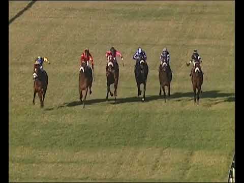 Fairview 20210702 R07