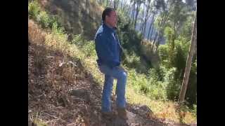 en mi viejo san juan marito