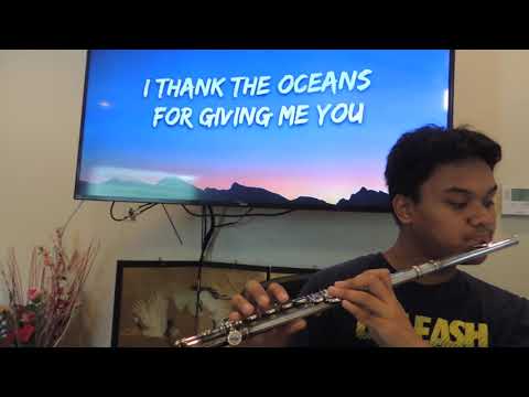 HESITATE by Jonas Brothers (flute cover)