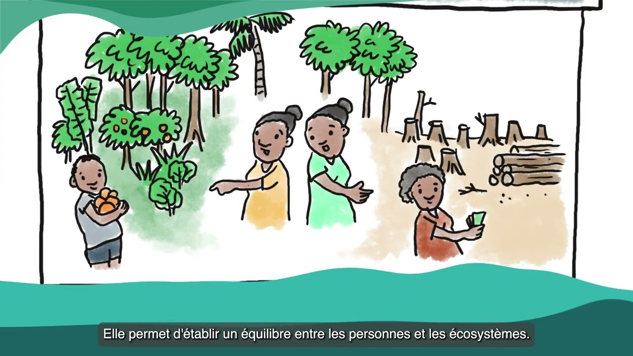 Bonne histoire, mauvaise histoire
