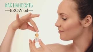 Eyebrows Nikonorova Academy Training