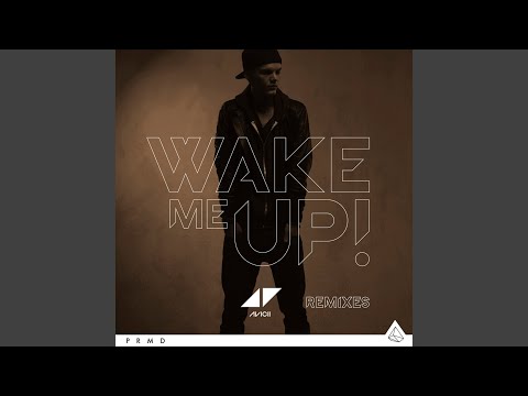 Video thumbnail for Wake Me Up (Reggae Mix)