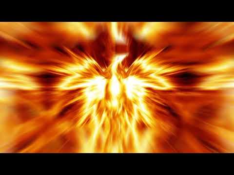 Red J - Risorgo (Visual)