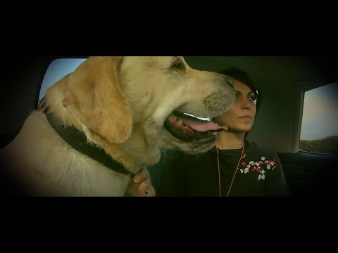 Etna Kontrabande feat. Ras Luta & I Grades - Każdy zbiera życia łan (Official)