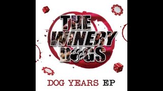 The Winery Dogs - Love Is Alive
