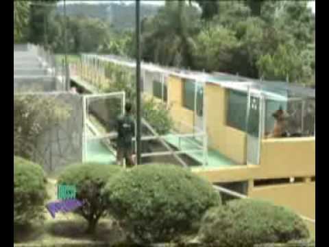 Cãopestre no Nosso Programa da RiT TV