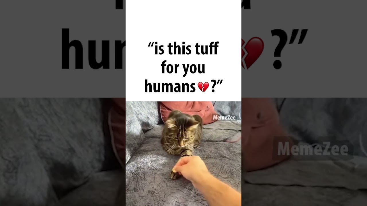 is this tuff for humans?🥀