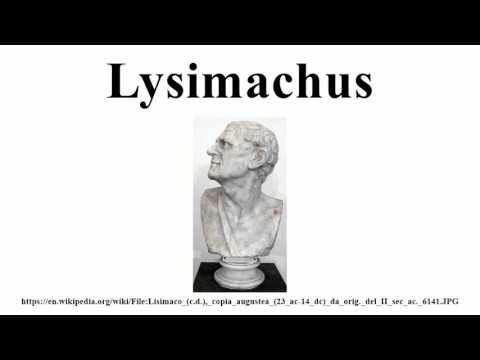 Lysimachus