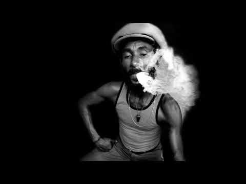 Lee Scratch Perry Scratch the Dub Organiser