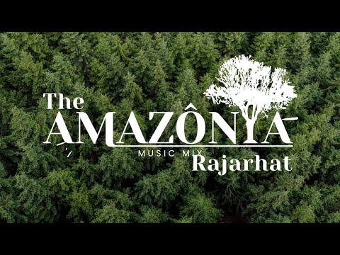 3D Tour Of The Amazonia