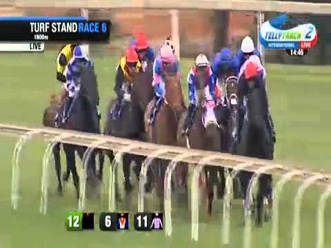 2015.03.28 Horse Chestnut Stakes (RSA) - Captain America