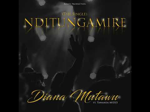 Diana ft Tawanda Midzi- Nditungamire