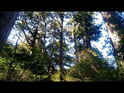 La Fougne au Japon, le retour - Hanayama trail