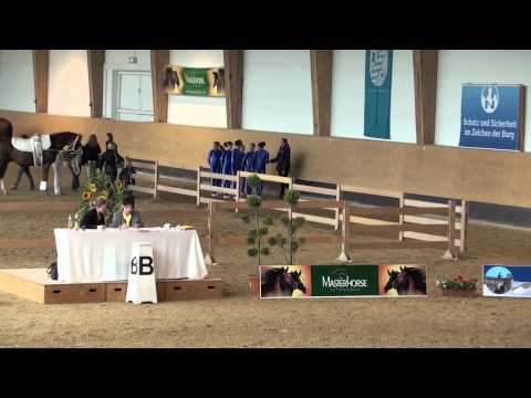 PI München-Riem Juni 2011 - Franken Junior II 960x540.m4v