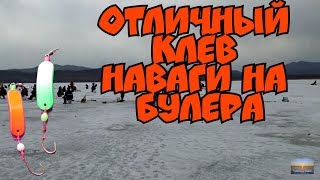 Отдых в приморье зимняя рыбалка