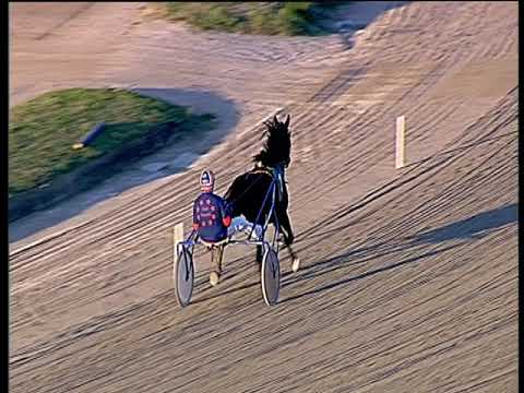 Trotto 19/10/2019 - prova di riqualifica