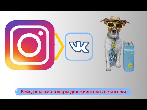 Кейс реклама товары для животных. Продвижение зоотоваров с нуля под ключ. Реклама ветаптеки.