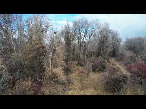 500 N 4370 E, Rigby, ID - Chris Archibald