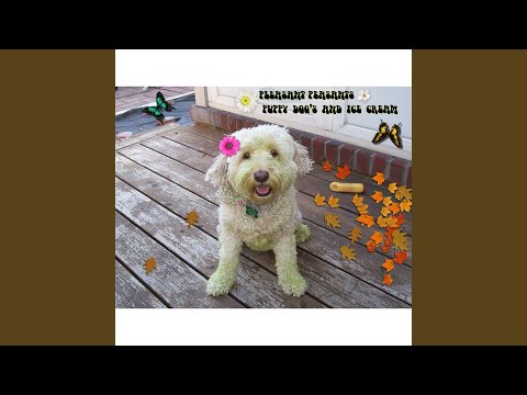 Puppy Dogs & Ice Cream