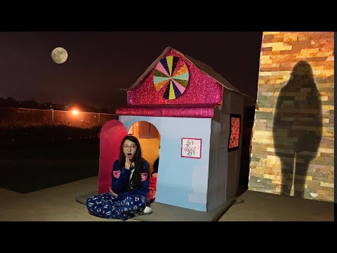 WE SPENT THE NIGHT IN THE CARDBOARD HOUSE | Luluca