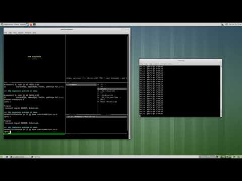 Linux app demo