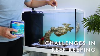 The Challenges I Face in Reef Keeping | Blue Reef Tank