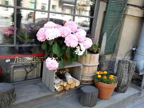 г.Санкт-Петербург Мысли вслух,или "Я выбираю Париж"🗼🏰😊💖