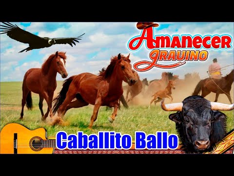 CABALLITO BALLO - AMANECER GRAUINO / Arturo Huayhua