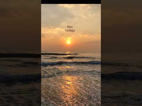 Neeye Neeye song 💞WhatsApp status🥺Amma Feeling song