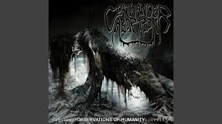 Prescription Paradise