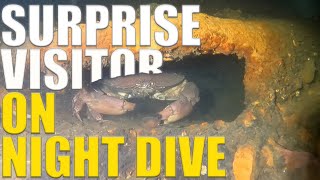 SURPRISE Visitor on NIGHT Dive in SCOTLAND - Ep 116