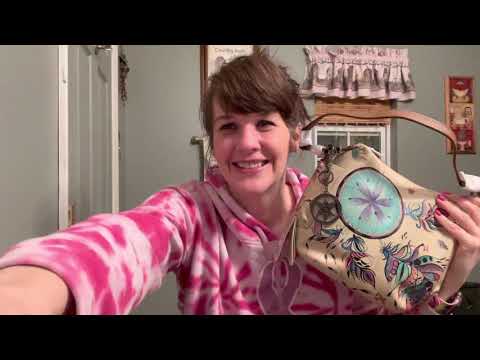 Anuschka sweet dreams purse / care bear purse review