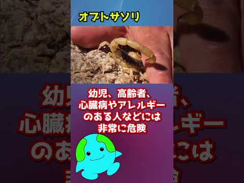 サソリ目について詳しく解説