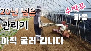20년 넘은 오래된 관리기 쓸만 하네 수박무 파종 두둑 만들기