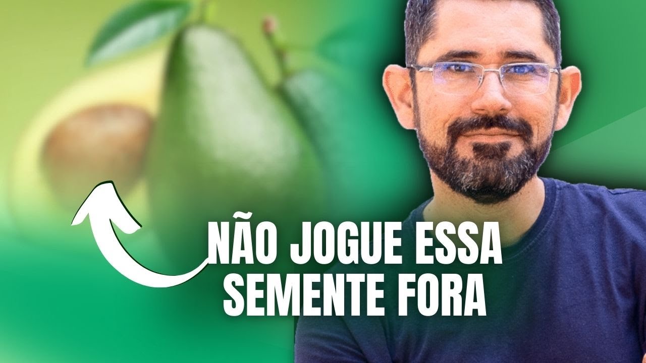 A Semente do Abacate: UMA FARMÁCIA VIVA APENAS EM 1 SEMENTE!
