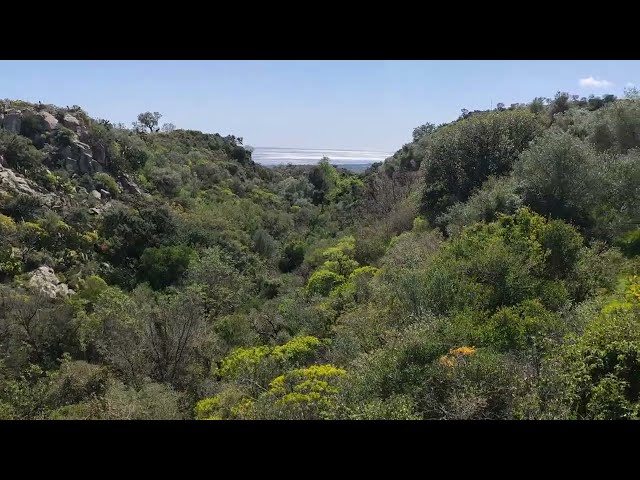 Terreno Taccu Loceri