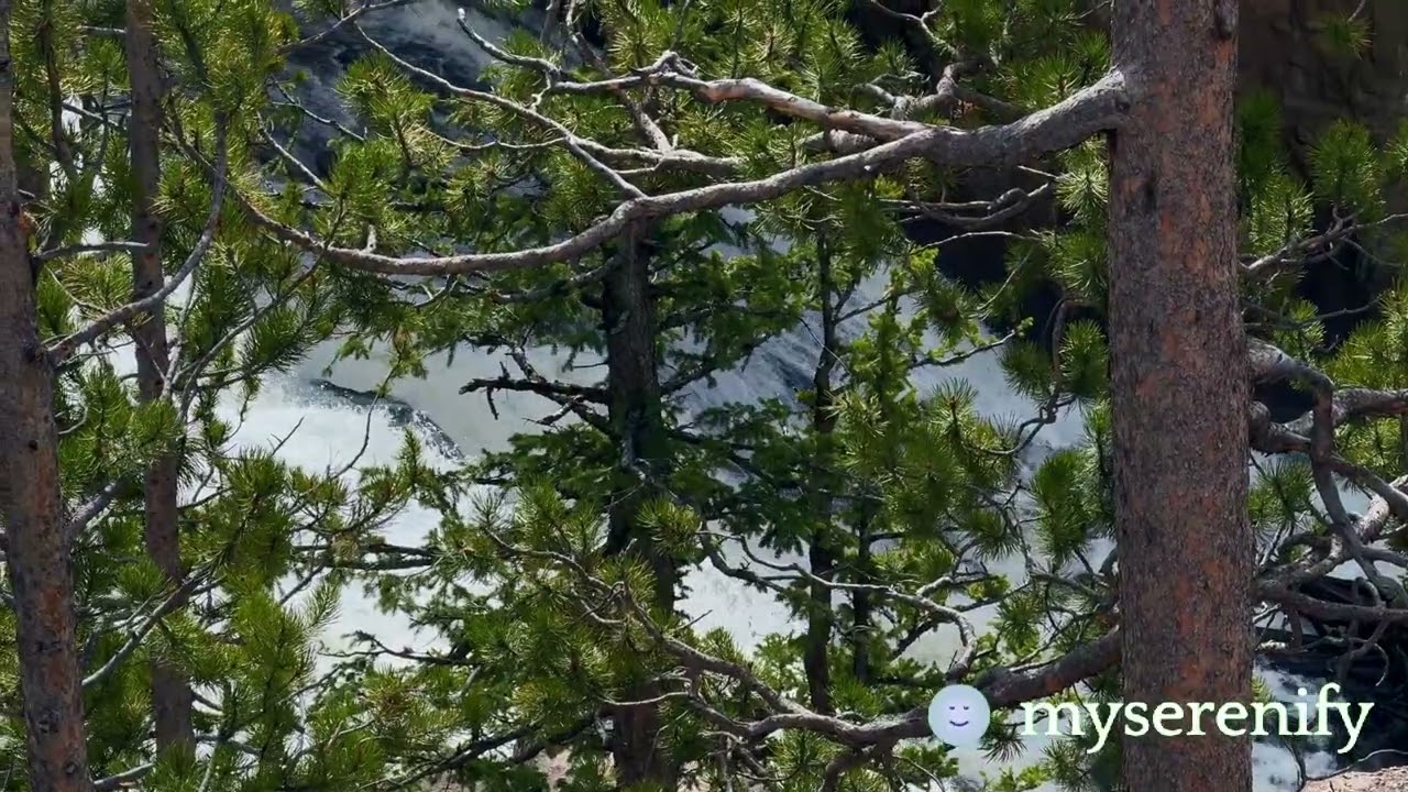 Explore Calm Meditation Subscription: Benefits & Features