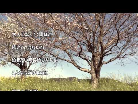 ”桜”　Cover　ギター弾き語り　＃21