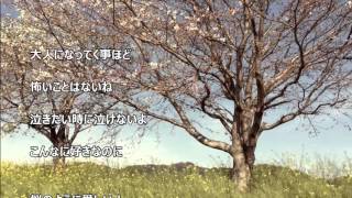 ”桜”　Cover　ギター弾き語り　＃21