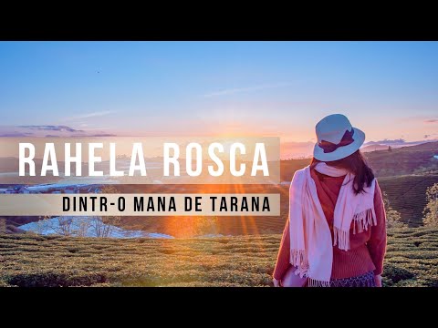 RAHELA ROSCA - DINTR-O MANA DE TARANA