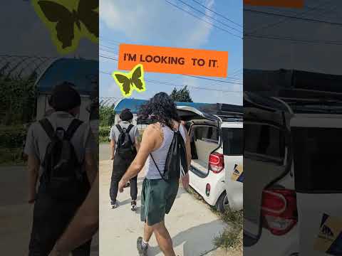 외국인 한국 캠핑카 렌트 | 스위스 친구 19일 차박 여행 미니칸