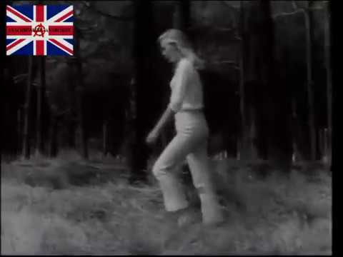 Sunsilk Shampoo Advert 1967