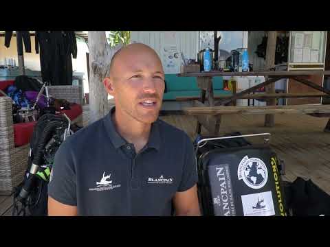 Tamataroa – A la découverte du grand requin marteau