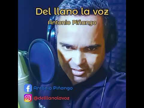Llanura y Soledad.   Antonio Piñango @delllanolavoz