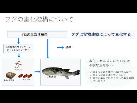 保健福祉学科 研究室紹介 分子細胞生化学研究室