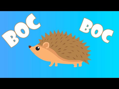 Boc, Boc Iglicama, dječje pjesme, muzika za bebe