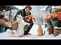 SUPER CHUBBY Cat Kitten Bake CAKE With Mickey Baby Hilarious Baking Day