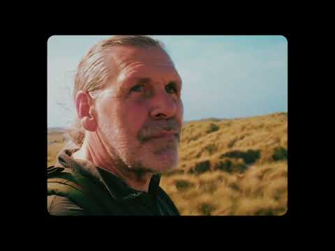 Seafret - Signal Fire (Official Music Video)