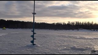 Ссылка