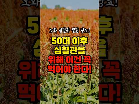 자연이 준 사탕: 매일 먹어야 할 10가지 과일